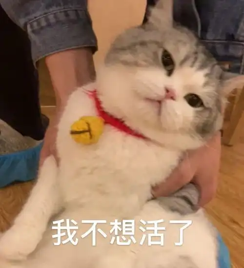  聊天斗图表情包i打爆你的狗头