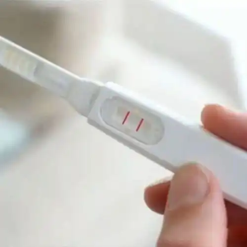  表情恶搞套路表情包我怀孕了,你的,你看着办表情