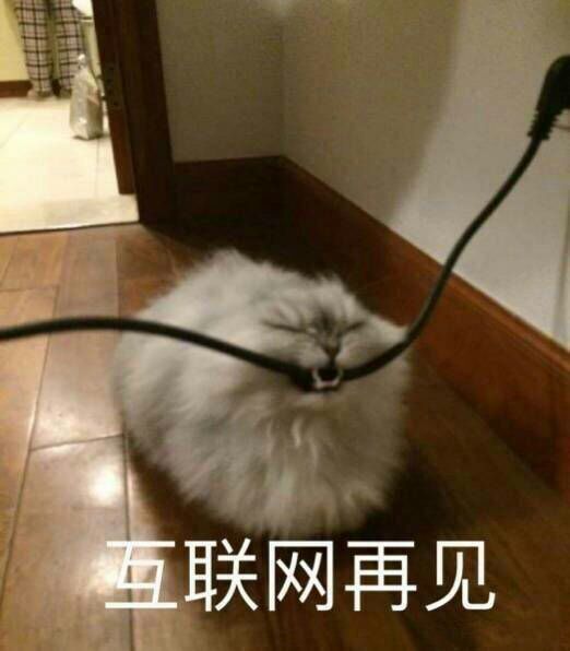  表情包