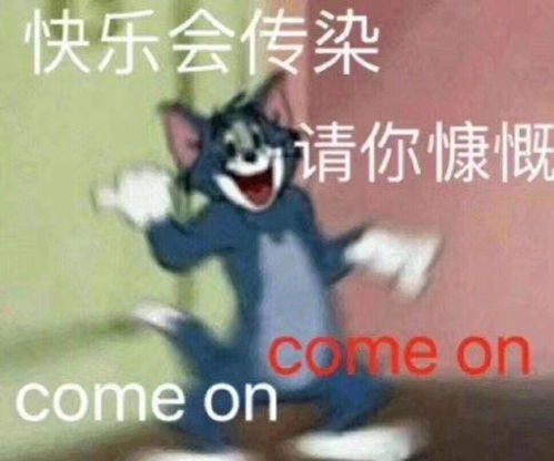 熬最贵的夜表情包冠军