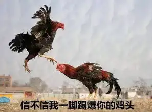吃鸡斗图表情包gif搞笑g