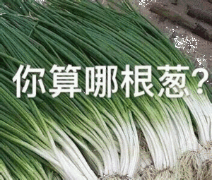  在北方,冰箱是用来解冻的大葱是比人还高的