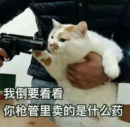  网购了一个抱枕,女友竟然不让我上床睡觉了...