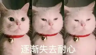  今天起,暴雨又赖着不走这个六一又要泡汤了