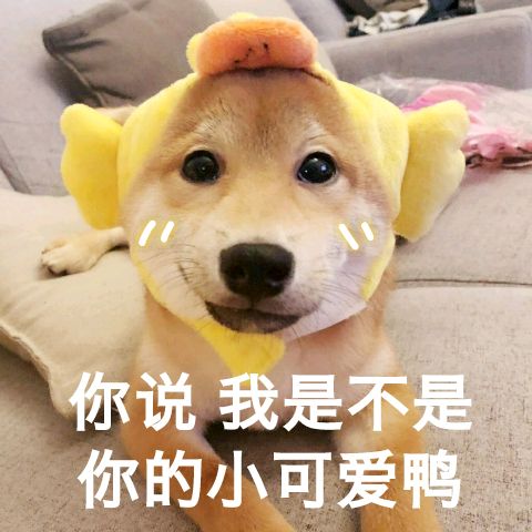  天气海南小伙伴准备好短袖没有琼岛本周最高气温可达到31