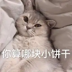  猫咪表情包今晚一起睡吗