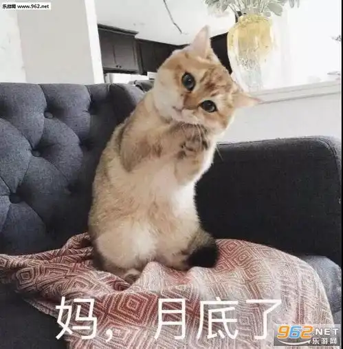  你是不是想我才来看我的背景图图片你是不是想我才来看我的可爱表情包下载乐游网游戏下载