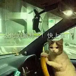  微信老司机表情包下载老司机表情包图片大全腾牛下载