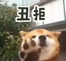  娱妻x圈圈姐早年一路献s到惯三上位,到处理发玩得很开的故事
