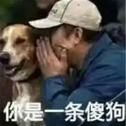  有哪些有意思的微信qq微博头像