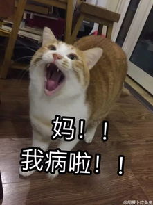 如果你妈微信老是不搭理你,就给她看看这个