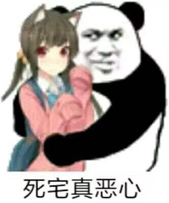  熊猫头表情包i要么回消息,要么回医院