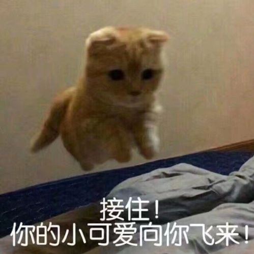  关于购买集成灶,百典发言消费者最关心的4大问题