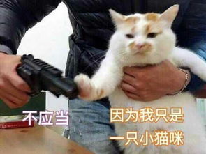  一句话可以把人毁到什么地步