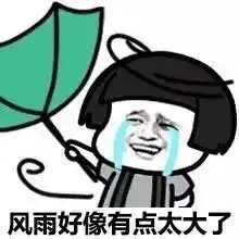  雨武体