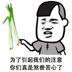  千锋深圳ui学员心声有一种回忆叫感动