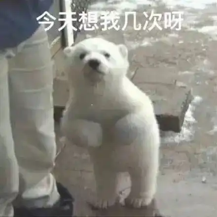  表情包撩小姐姐的可爱表情包