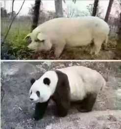  每日一笑