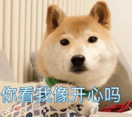 柴犬接住的表情包勾拳