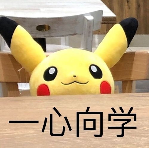 居然有人学习表情包