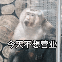 快收藏黔灵山网红猴小老费表情包,天眼新闻安排上了