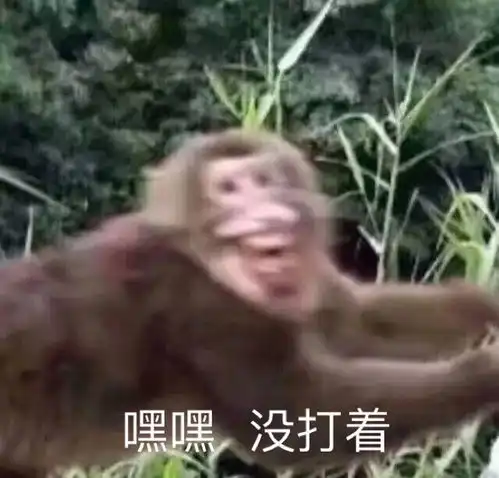  沙雕表情包l学习使人心碎又憔悴