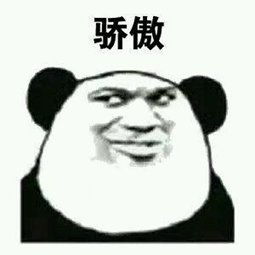 各种网站的表情包骄傲