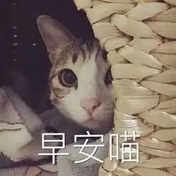  今日处暑天气凉爽温度下降13