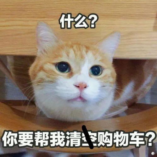  ai防碰仪老带新有奖推荐你的双11购物账单,我来买单