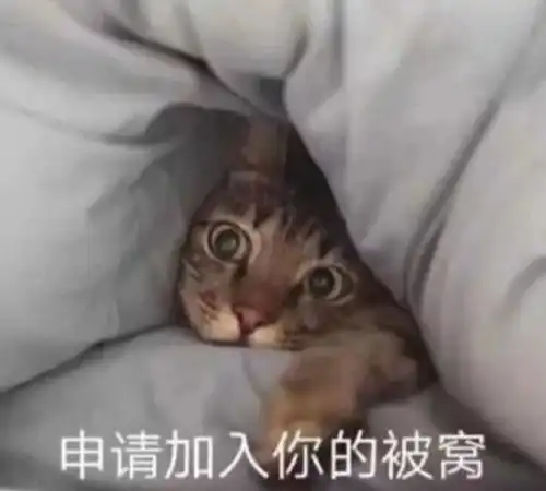  冬日里的可爱文案