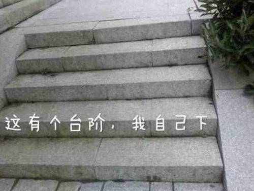  吵架求和表情包这有个台阶我自己下