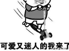 做表情包的手机软件不理
