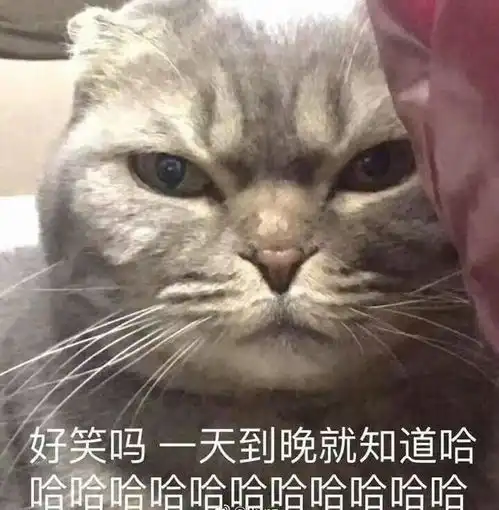  搞笑段子和男朋友吵架时,先别想着把责任推卸到他的身上