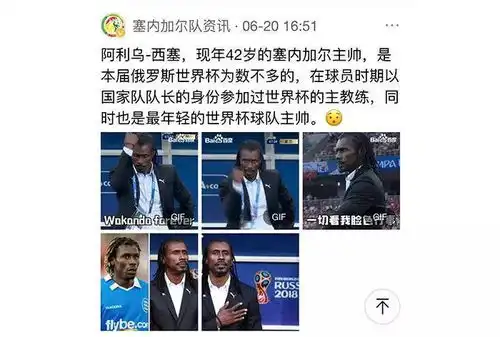 到半决赛了,才找到世界杯的正确看球方式
