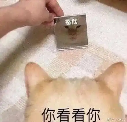  播出4集了,竟然还没人推这部恋爱指南