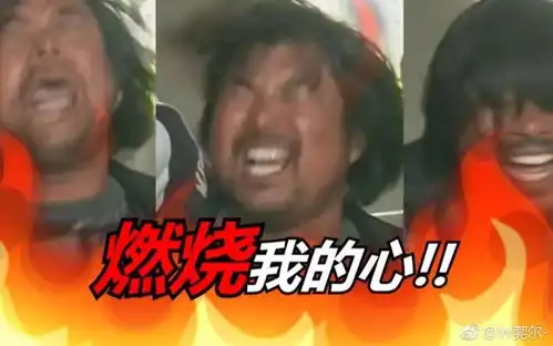  面筋哥不只会唱面筋歌