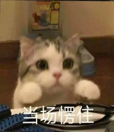 我来的表情包小猫咪