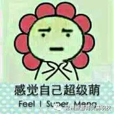  不一样的新学期