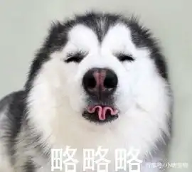  狗狗心疼60岁年迈主人,坚强的为他撑起一片天,路人鼓掌点赞