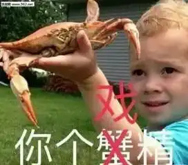 表情包原图有什么用勇敢