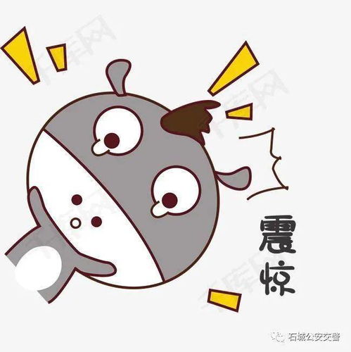  石城某司机倒车撞破玻璃门冲进手机店内,现场一片狼藉惊险万分...