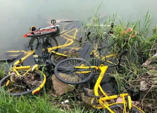  表情议论湖水中的共享单车,到底是动了谁的奶酪表情