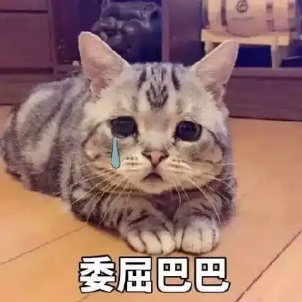 让人可怜的喵星人汪星人委屈表情包  让人可怜的喵星人汪星人委屈表情包