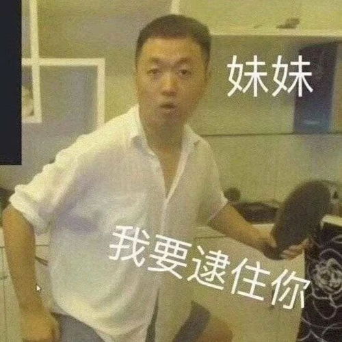  表情包回复爱你哦可聊天