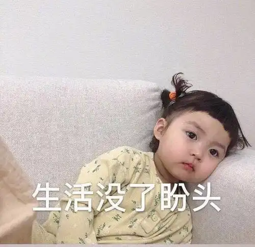 在线表情包沙雕管理类联