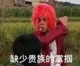  老外机场遇黑车,浦东机场到闵行天价车费1900元