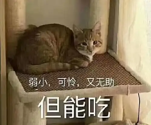  s8冠军上快乐大本营羞耻照流出绝地求生再封30000挂比丨bb聊电竞