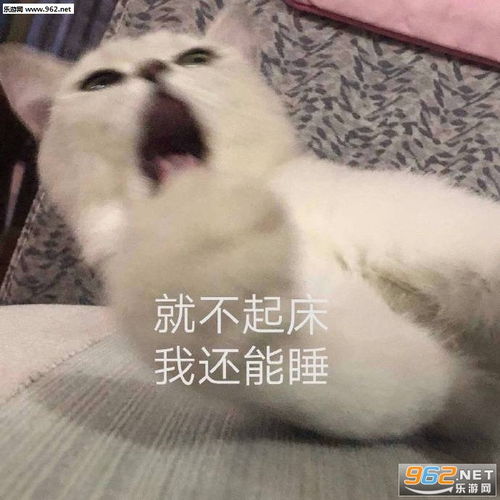  2019最骚鸡王图片吓一跳的图片表情包下载乐游网游戏下载