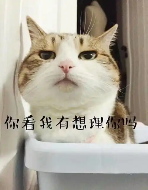 每日一笑昨天睡的老婆说两个人相对太久会腻然后  每日一笑昨天睡的老婆说两个人相对太久会腻然后