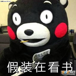  熊本熊你这样会失去我的表情包高清版熊本熊你这样会失去我的表情包下载乐游网游戏下载